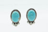 SW Sterling Silver & Turquoise Earrings