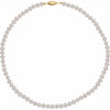 14K Yellow Gold 5.5 to 6mm Panache Freshwater Potato Cultured Pearl Necklace